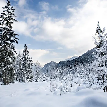 Nice With Dishwasher, In A 500 M From The Ski Lift * Винтерберг