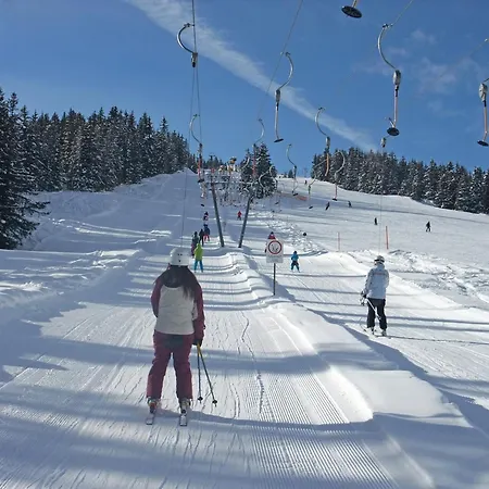 Lejlighed Nice With Dishwasher, In A 500 M From The Ski Lift Winterberg