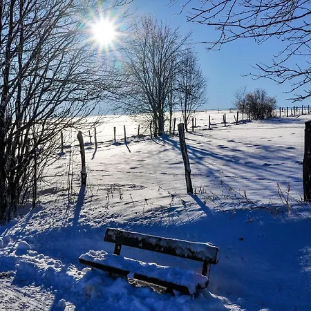 Nice With Dishwasher, In A 500 M From The Ski Lift Апартаменты Винтерберг