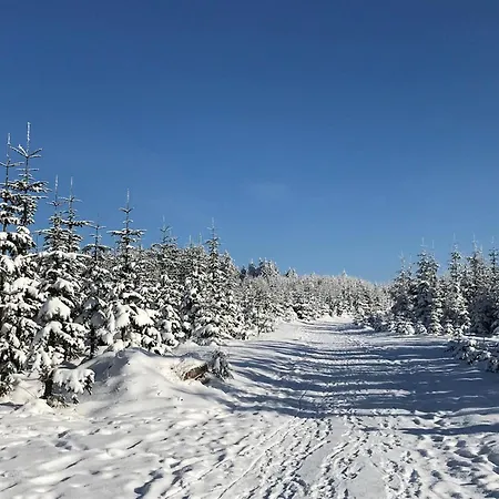 Апартаменты Nice With Dishwasher, In A 500 M From The Ski Lift Винтерберг